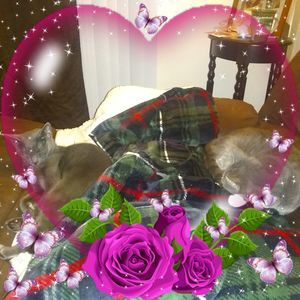 Meet your Posher, Mary